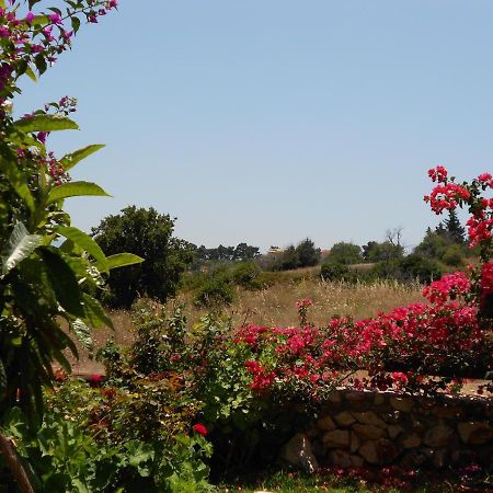 Livadaki Village Hotel Skala  ภายนอก รูปภาพ