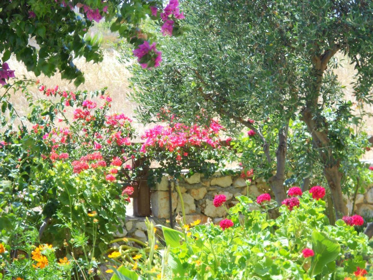 Livadaki Village Hotel Skala  ภายนอก รูปภาพ