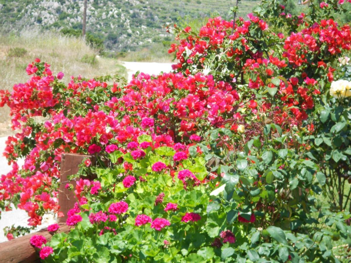 Livadaki Village Hotel Skala  ภายนอก รูปภาพ